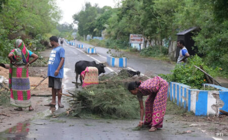 Trees Uprooted, Heavy Rain In Odisha As Cyclone Dana Completes Landfall