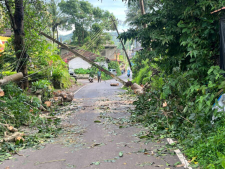 Electric pole uprooted at Vaddem-Soccoro.