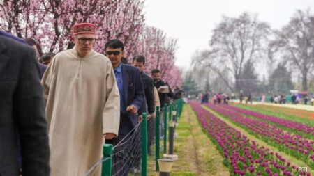 Asia’s Largest Tulip Garden In Srinagar Opens For Public