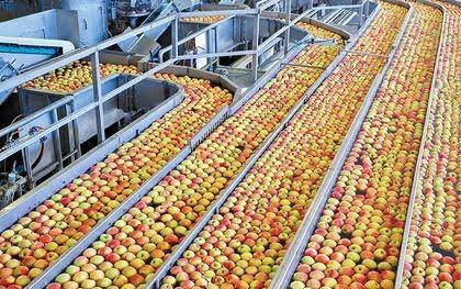 Comunidade of Loliem-Polem Grants 1 lakh Sqm land ‘aframento’ on Lease to MultiFruits Processing unit