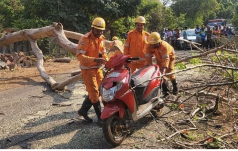 Two Youths Injured After Tree Falls on Scooter in Canacona