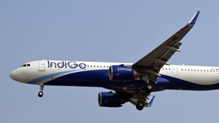 Passenger opens aircraft emergency exit flap at Dabolim Airport; booked under BNS