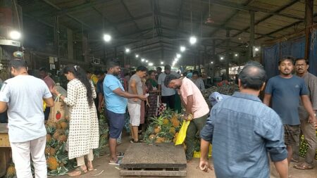 FDA Cracks Down on Unhygienic Meat Shops and Chemically-Treated Fruits in Bardez and Mapusa