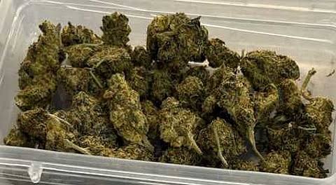 Ganja Smuggling Attempt Foiled at Colvale Jail; 3 Arrested, Minor Detained