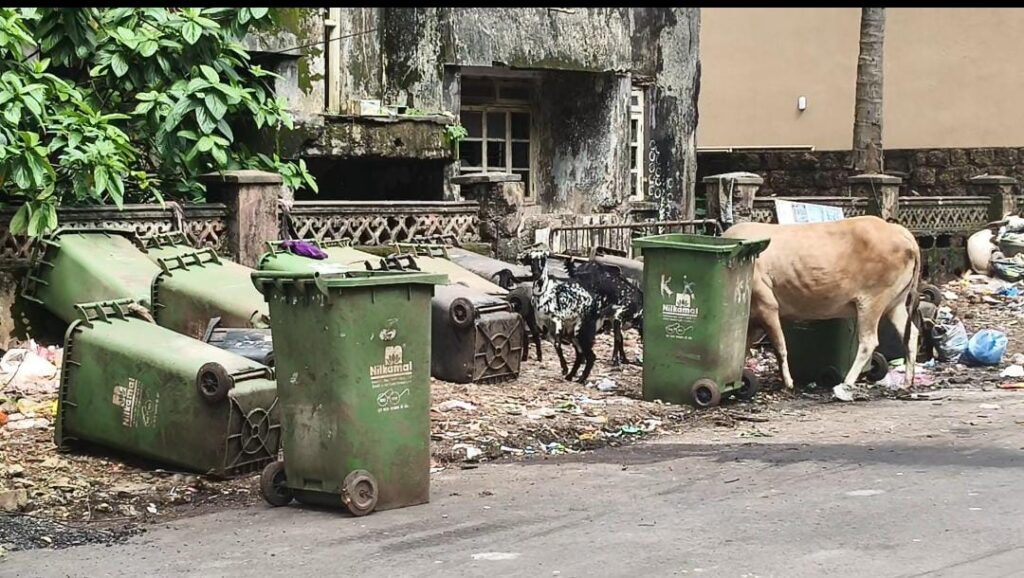 MMC bins the bins: Vasco civic body eyes no-dustbin model to clean up the mess