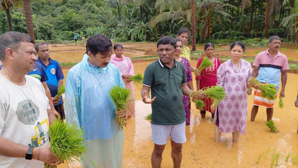 Speaker Ramesh Tawadkar Leads by Example, Joins Paddy Sowing to Inspire Revival of Cultivation