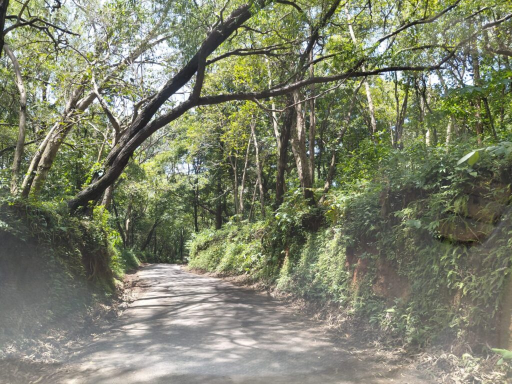 Agonda residents demand widening of Keri–Gulem link road, removal of leaning trees