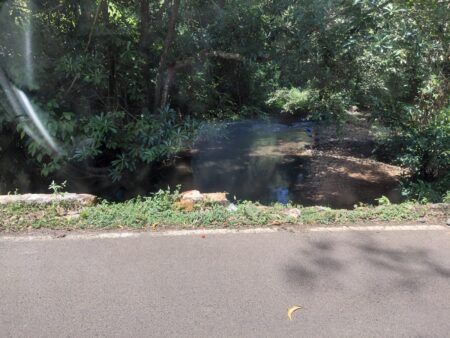 Motorist hits, destroys dumane culvert-bridge side wall on MDR-49