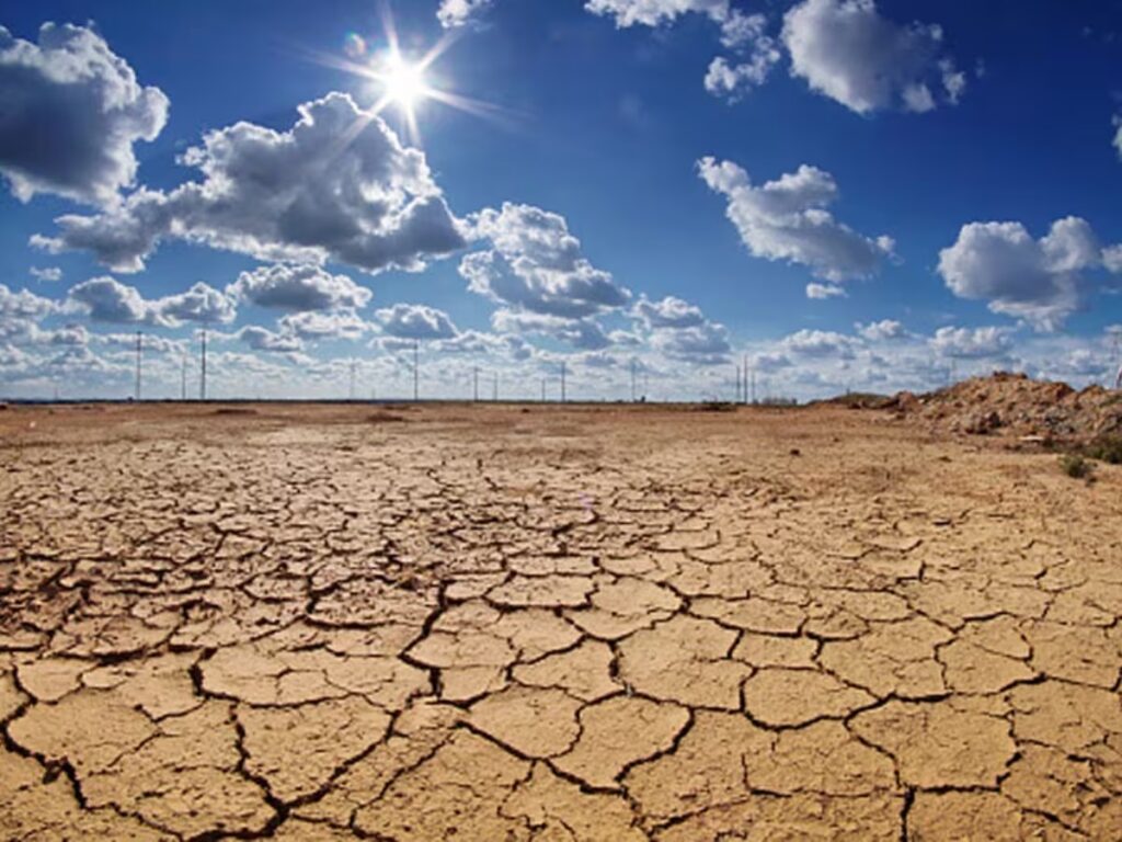 India Faced 20 Heatwave Days In 2024, With Most Attributed To Climate Change: Report