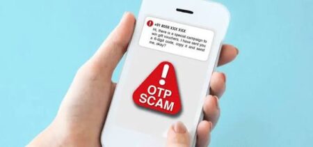 CEO Warns Goa Voters of OTP Fraud as Cybercriminals Pose as Election Officials