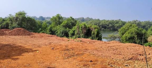 Illegal land filling detected in Chaudi; one booked