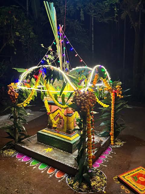 Tulsi Plant Vandalised Outside Ancestral Home in Mapusa; Case Registered