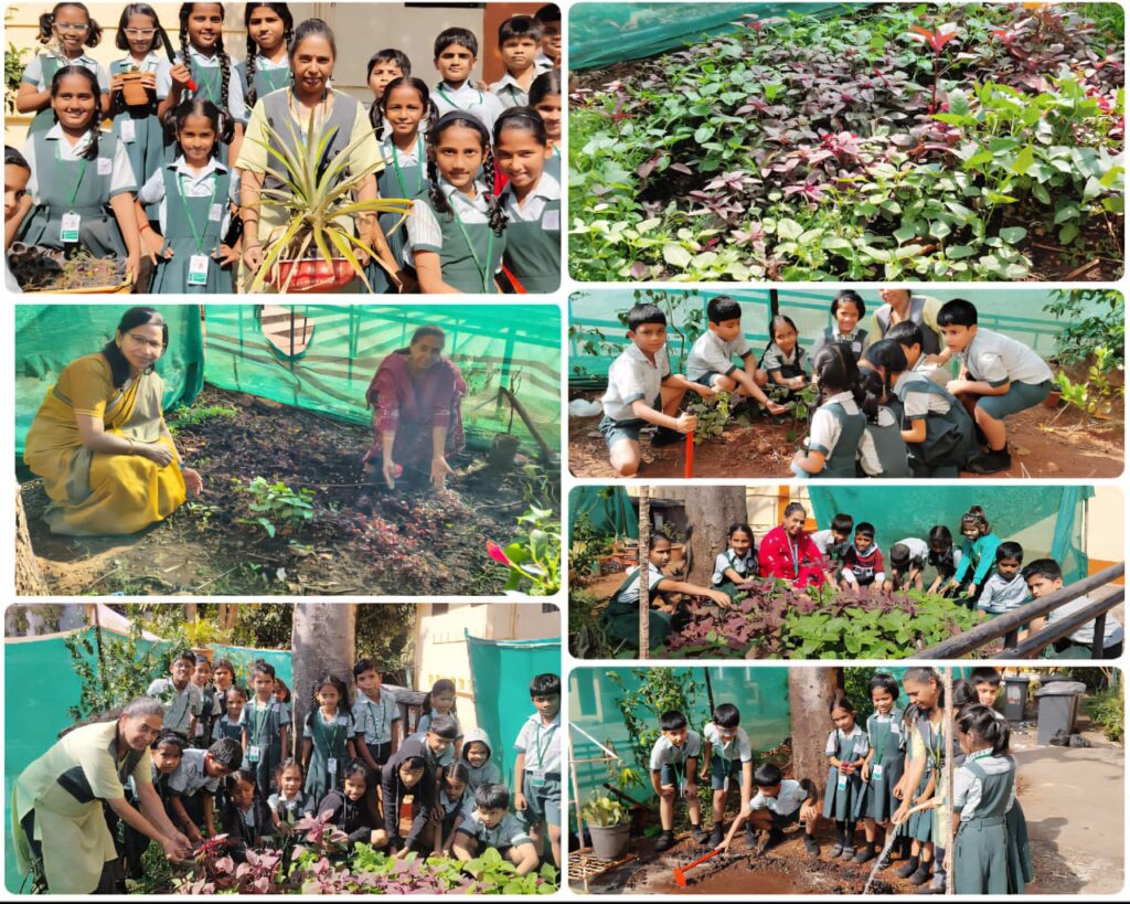 Young Students Cultivate Sustainability Through School Gardening