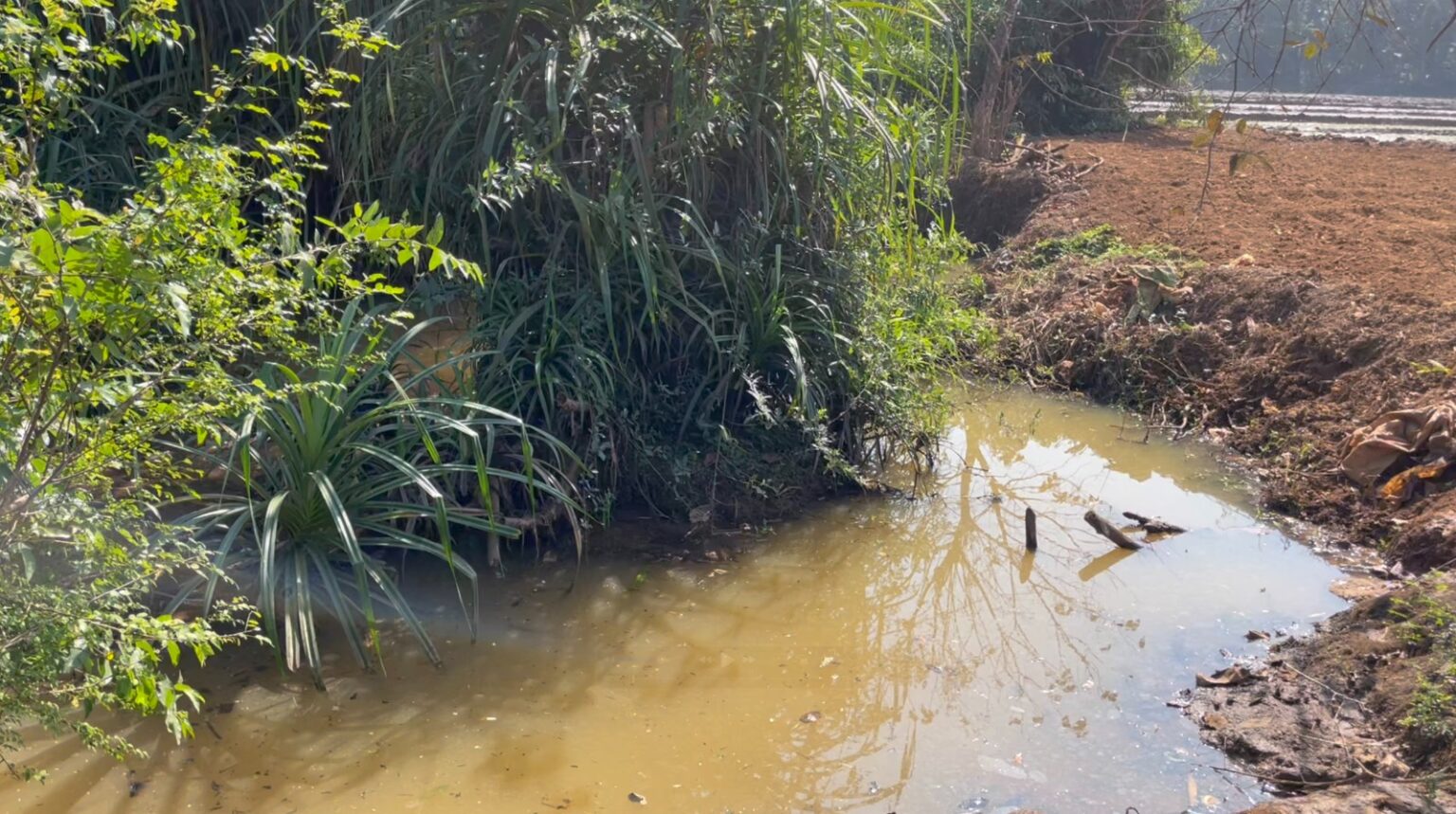 Choked Galgibaga River Alters Course, Ruins Paddy Fields in Canacona