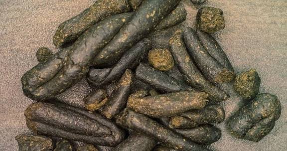 Two Held With MDMA, Charas Worth ₹2 Lakh In Varca Narcotics Raid