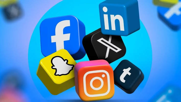 Goa Mulls Social Media Age Bar for Children Below 16