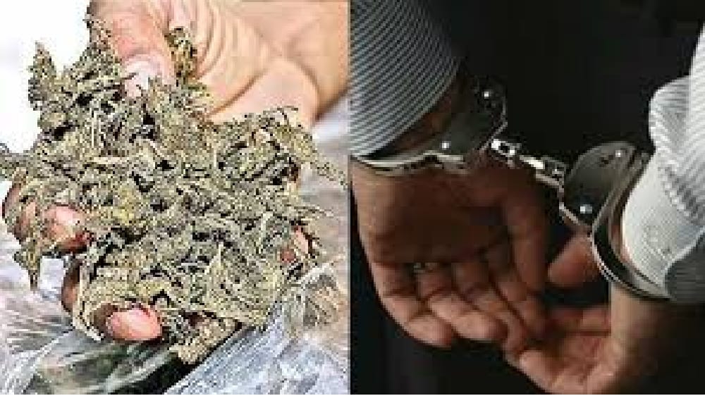 Crime Branch Seizes 5.89 Kg Suspected Ganja From Rented Room At Sanquelim, One Arrested