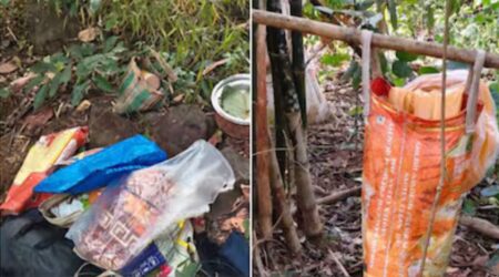 Three Naxals eliminated in Gadchiroli operation, nation intensifies fight against extremism