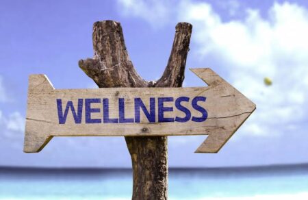 Goa Moves To Become Global Wellness Hub With New Policy Push