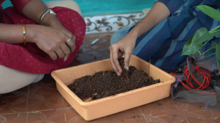 Greening Goa, One Kokedama at a Time