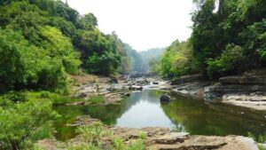 Concerns Rise Over Falling Water Levels in Bandhura Nullah Near Goa Border