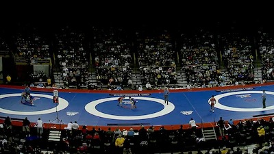 Nitesh Secures Silver as India Add Three Medals at Asian Wrestling Championships