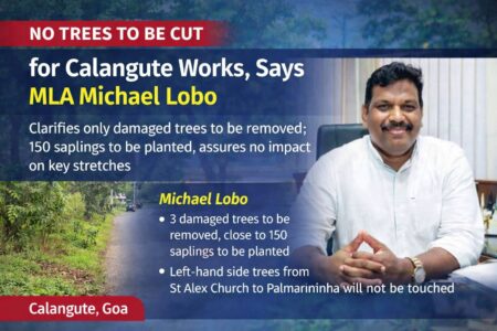 No Trees to Be Cut for Calangute Works, Says MLA Michael Lobo