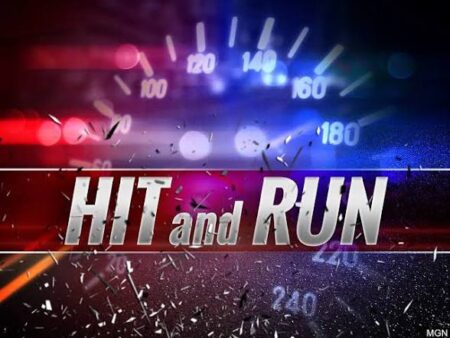 Hit-And-Run Truck Driver Arrested After Pedestrian Killed Near Mopa Toll Plaza