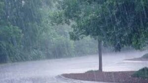Heavy Rain Alert Issued For Goa As Pre-Monsoon Activity Picks Up