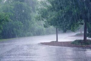 Light Rainfall Eases Heat Across Goa, More Showers Likely Ahead