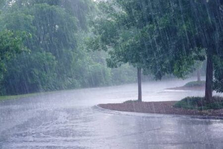 Light Rainfall Eases Heat Across Goa, More Showers Likely Ahead