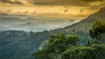 Western Ghats in Goa, Maharashtra and Gujarat Set for Eco-Sensitive Status