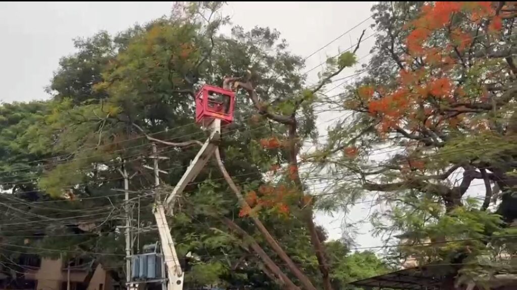 Trees uprooted by heavy rain plunge Vasco, Mangor into overnight darkness