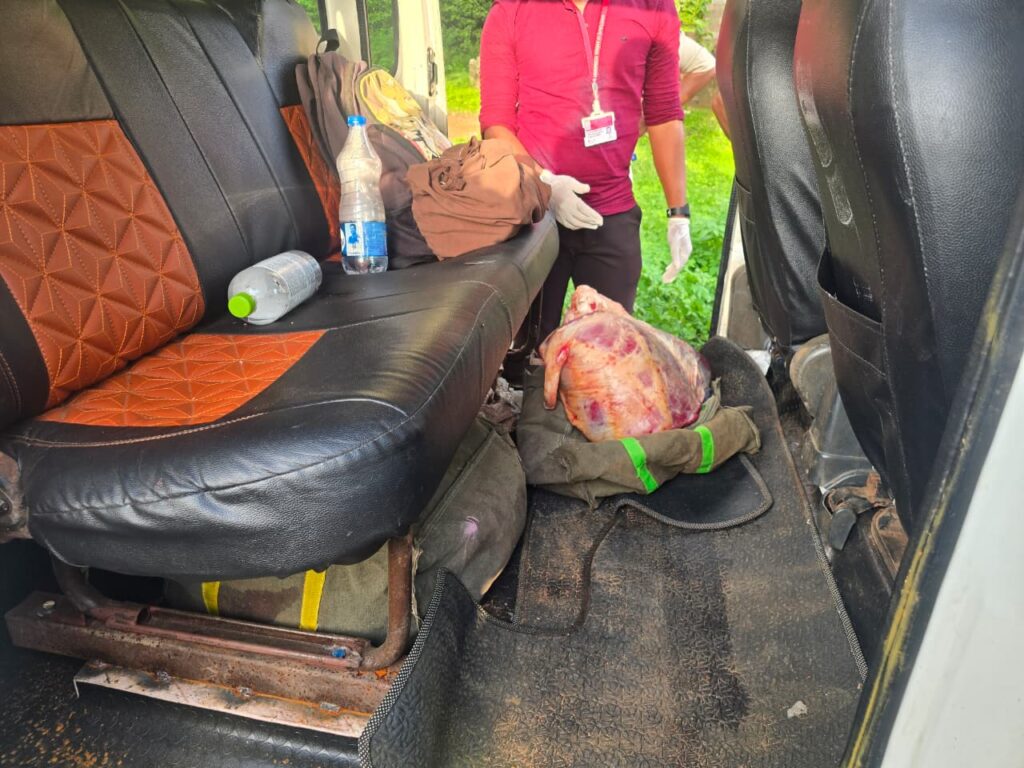 Three Held for Allegedly Transporting Illegal Beef in Dharbandora