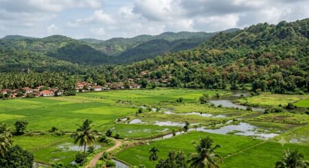 Goa Notifies 1.02 Crore Sq M Of Ecologically Sensitive Land As No Development Zone