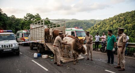 Five Bulls Rescued In Police Action Against Illegal Transport