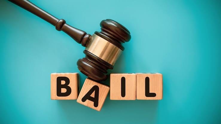 Additional Sessions Court Grants Conditional Bail In Kidnapping Case