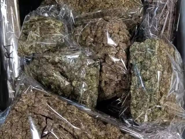 Man Arrested With 3.5 Kg Ganja At Cavelossim