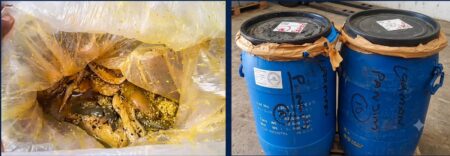 FDA Raids Transport Of Unlabelled Pickles And Imported Cheese