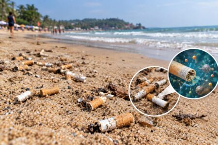 Cigarette Butt Waste Emerges As A Hidden Threat On Goa Beaches