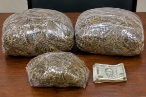 2 kg suspected ganja worth Rs 2 lakh seized in Mapusa
