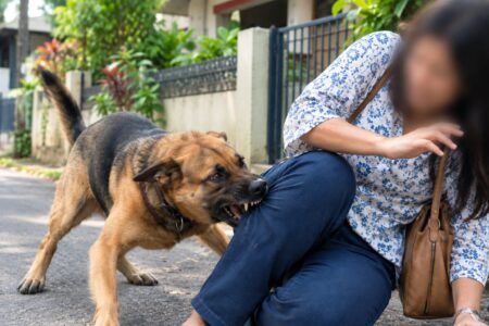 Woman Bitten By Dog At Pixem Dongri In Mormugao