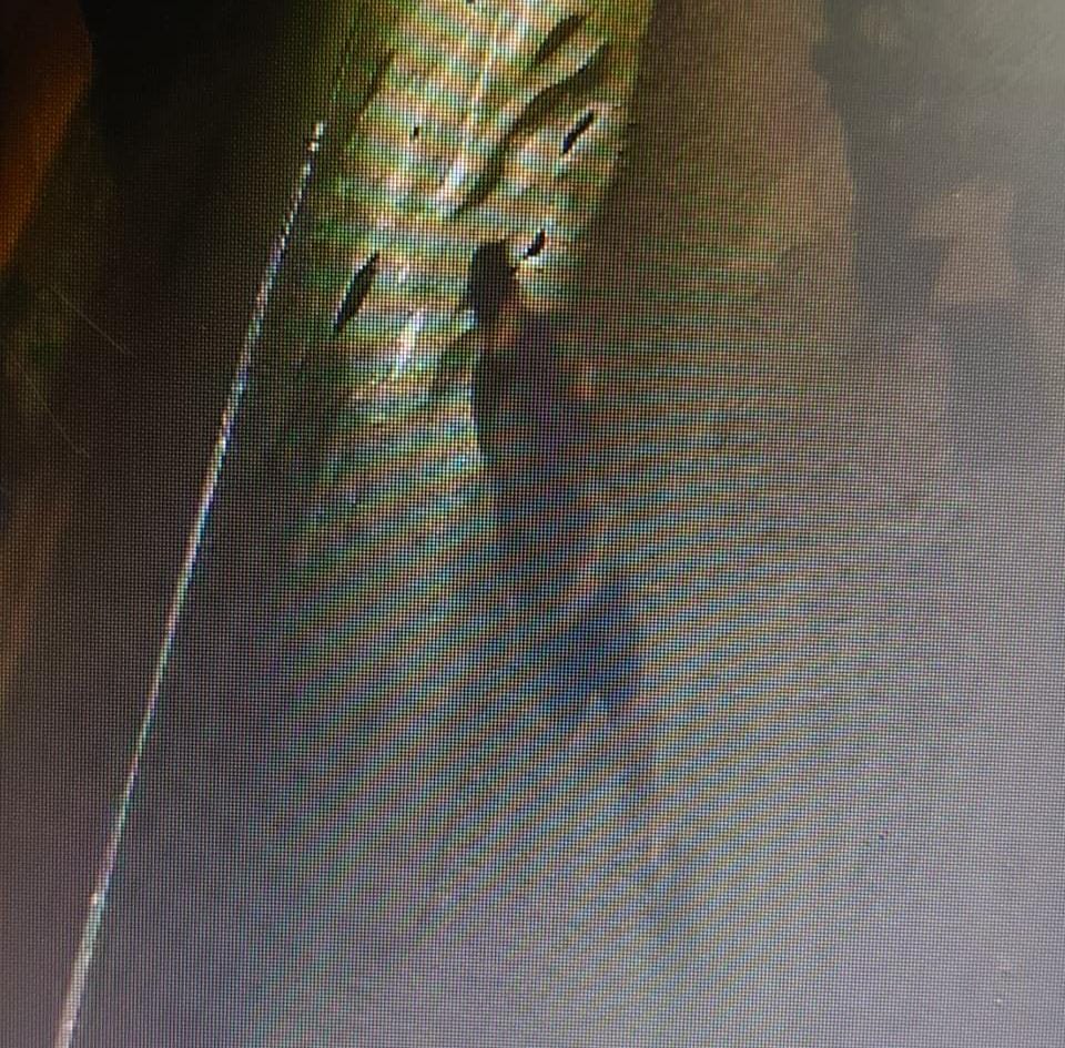 Suspect caught by family member and locals during theft attempt in Mapusa