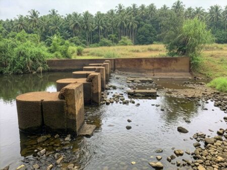 RGP Leader Prashant Pagi Gives WRD 15 Days to Install All Canacona Bandharas