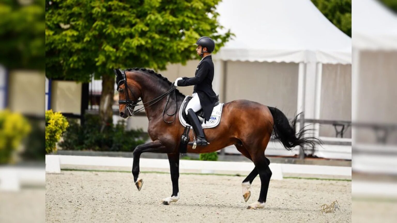 FEI Suspends Indian Equestrian Federation From December 1, Bars Riders From International Events